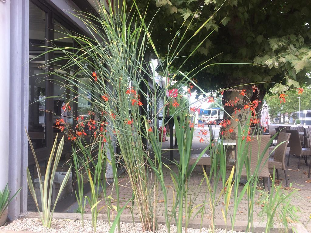 La Hourquie Cafe Hotel Morlaas Exterior photo